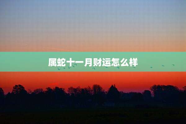 属蛇十一月财运怎么样