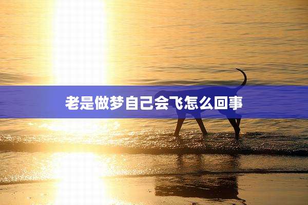 老是做梦自己会飞怎么回事