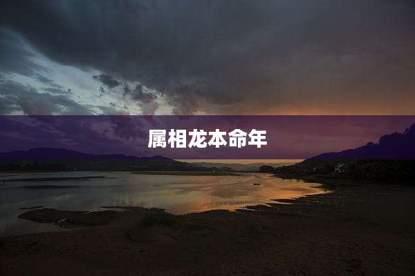 属相龙本命年