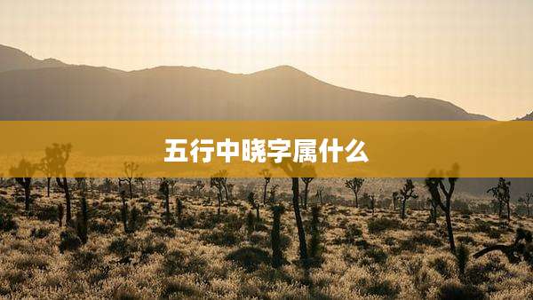 五行中晓字属什么