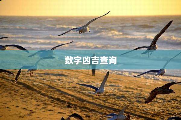 数字凶吉查询