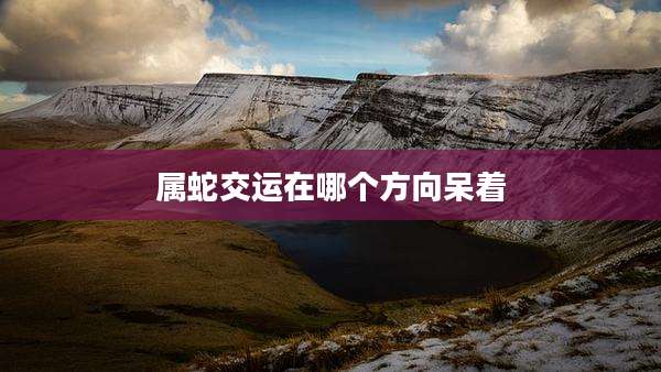属蛇交运在哪个方向呆着