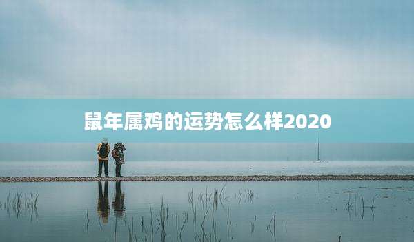 鼠年属鸡的运势怎么样2020