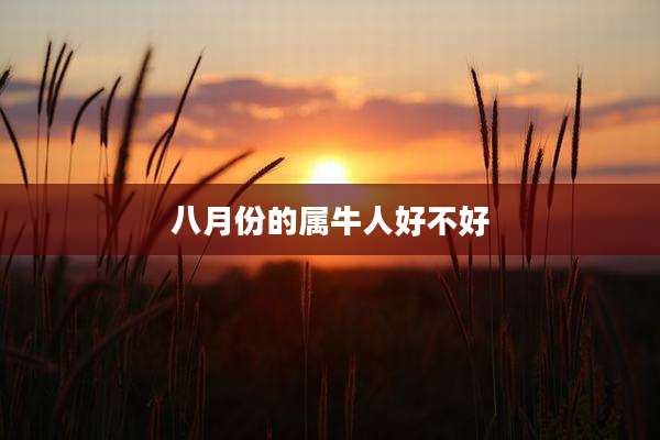八月份的属牛人好不好