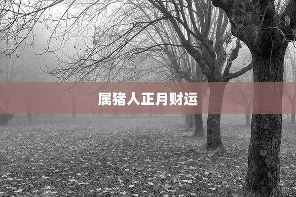 属猪人正月财运
