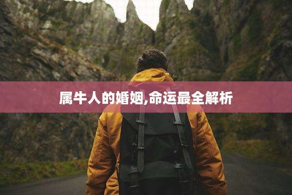 属牛人的婚姻,命运最全解析