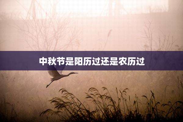 中秋节是阳历过还是农历过