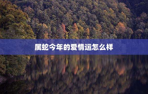 属蛇今年的爱情运怎么样