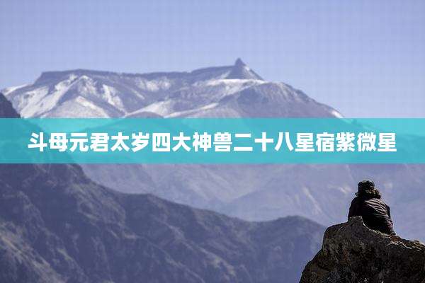 斗母元君太岁四大神兽二十八星宿紫微星