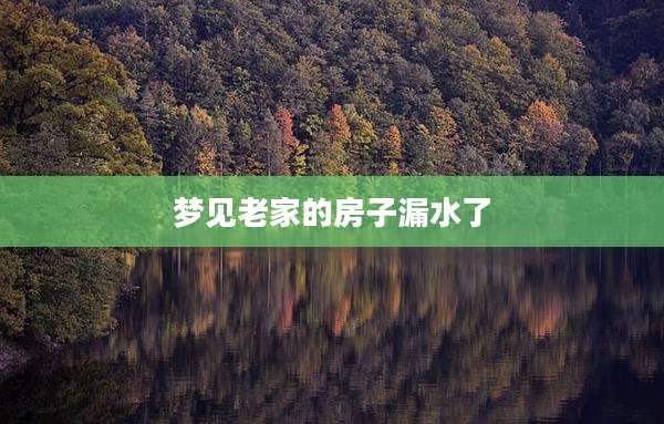 梦见老家的房子漏水了