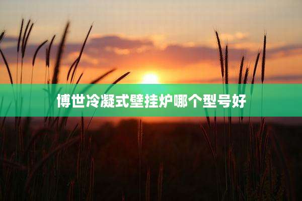 博世冷凝式壁挂炉哪个型号好