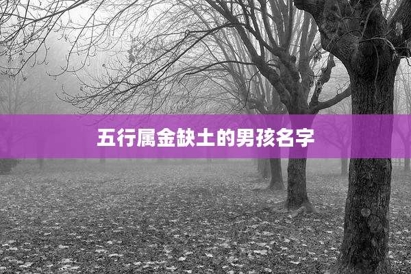 五行属金缺土的男孩名字