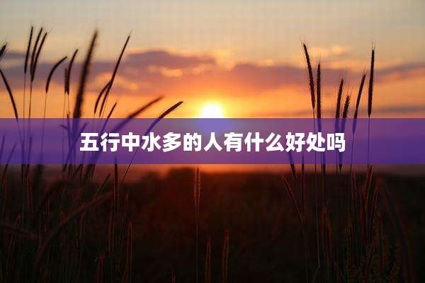 五行中水多的人有什么好处吗