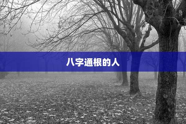 八字通根的人
