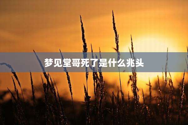 梦见堂哥死了是什么兆头