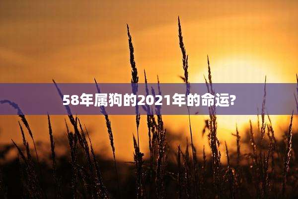 58年属狗的2021年的命运?