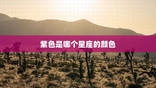 紫色是哪个星座的颜色