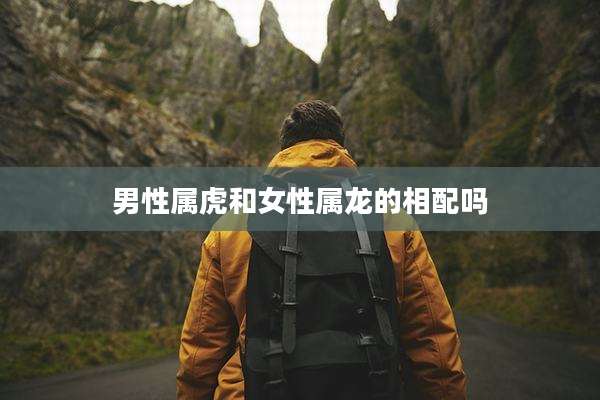 男性属虎和女性属龙的相配吗
