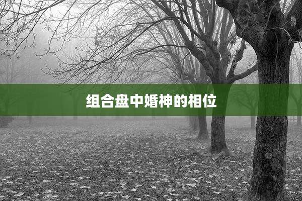 组合盘中婚神的相位