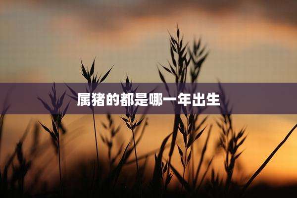 属猪的都是哪一年出生