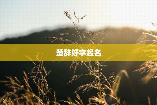 楚辞好字起名