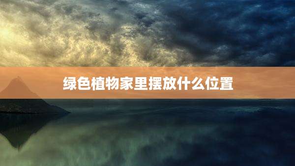 绿色植物家里摆放什么位置