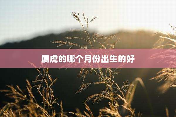 属虎的哪个月份出生的好