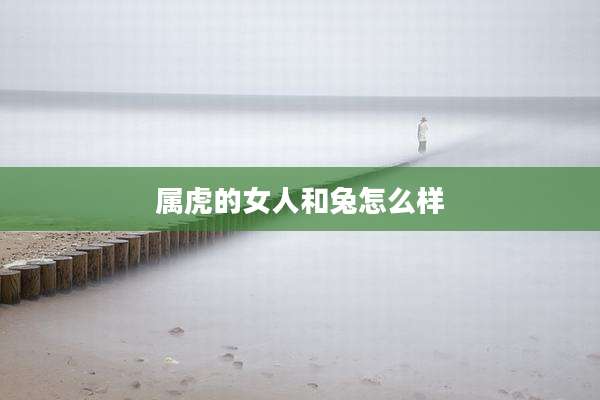 属虎的女人和兔怎么样