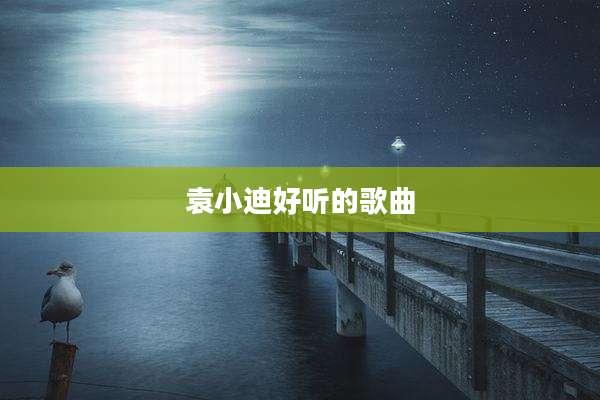 袁小迪好听的歌曲