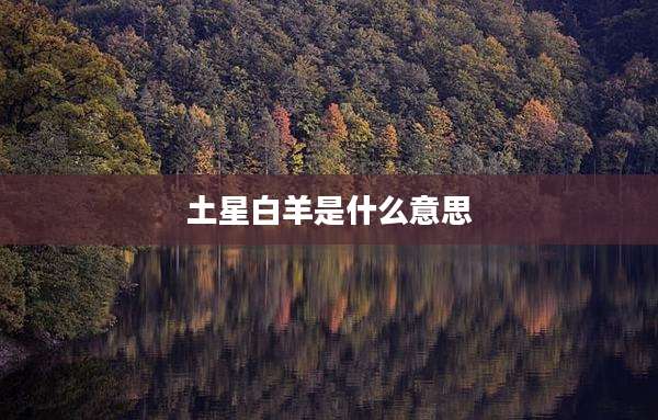 土星白羊是什么意思