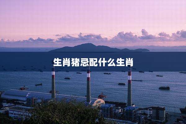 生肖猪忌配什么生肖