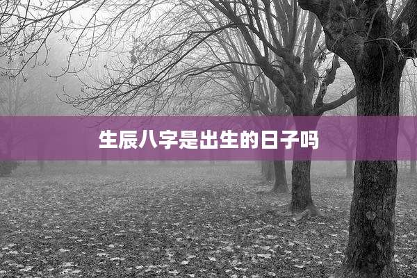 生辰八字是出生的日子吗