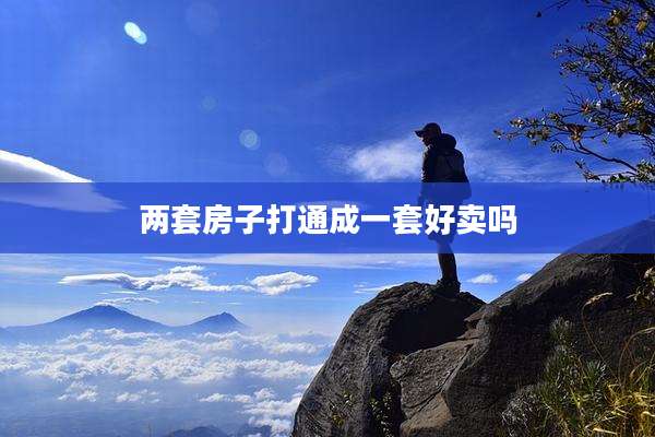 两套房子打通成一套好卖吗