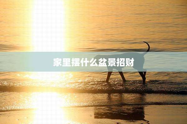 家里摆什么盆景招财