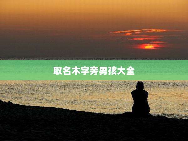 取名木字旁男孩大全