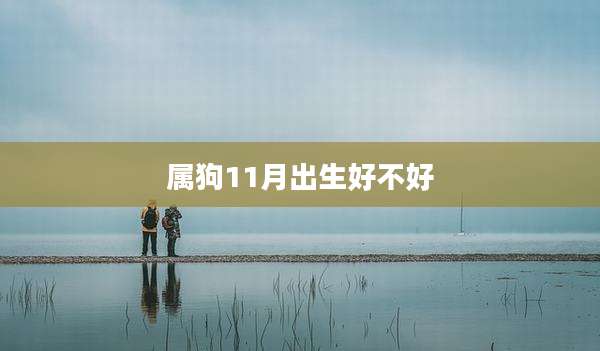 属狗11月出生好不好