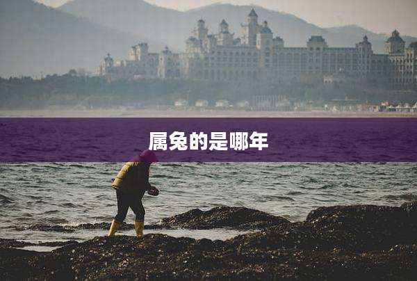 属兔的是哪年