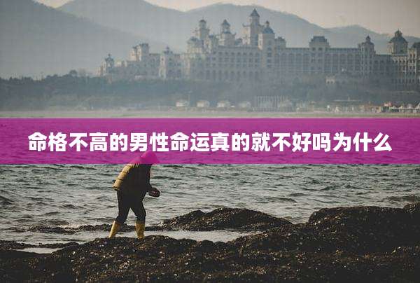 命格不高的男性命运真的就不好吗为什么