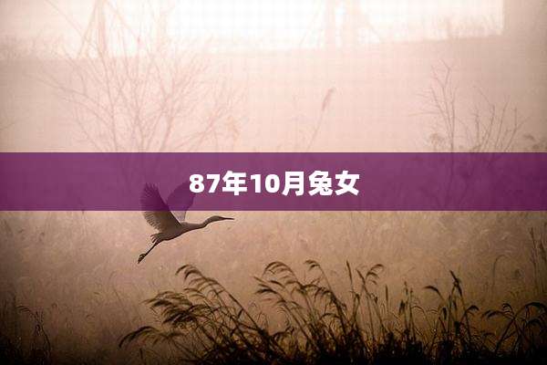 87年10月兔女
