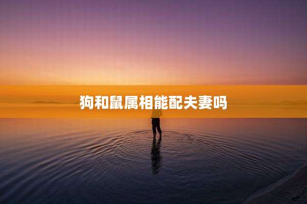 狗和鼠属相能配夫妻吗