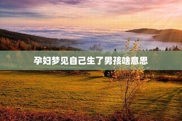 孕妇梦见自己生了男孩啥意思