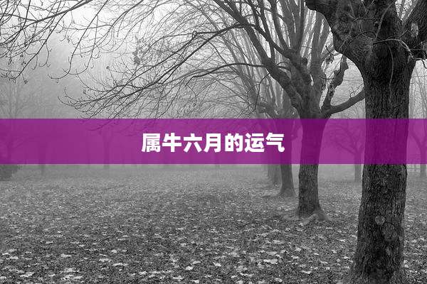 属牛六月的运气