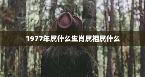 1977年属什么生肖属相属什么