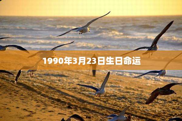 1990年3月23日生日命运