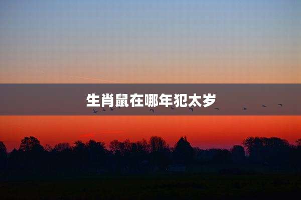生肖鼠在哪年犯太岁