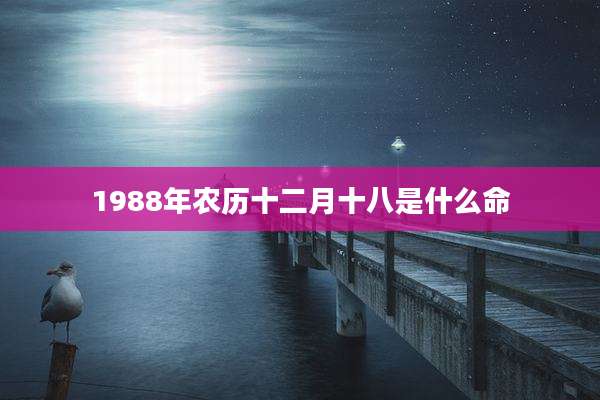 1988年农历十二月十八是什么命