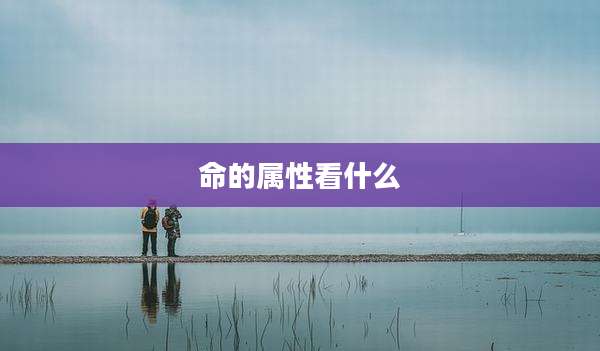 命的属性看什么