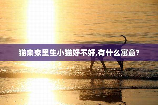猫来家里生小猫好不好,有什么寓意?
