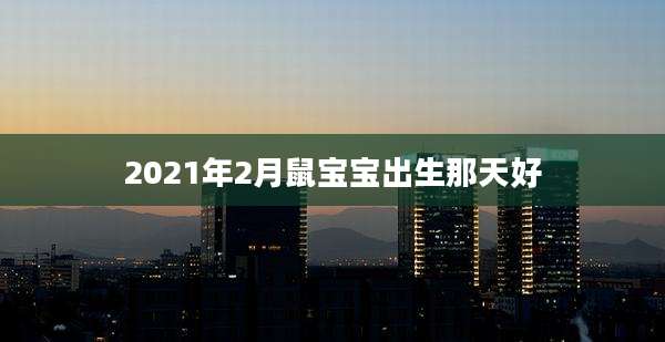 2021年2月鼠宝宝出生那天好