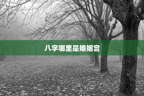 八字哪里是婚姻宫